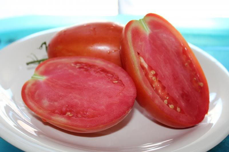  photo BurpeeSupersauce18_zps4a211b29.jpg